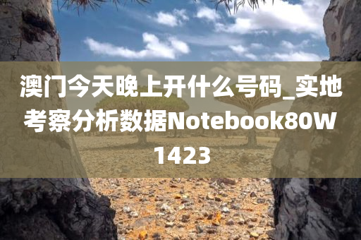 澳门今天晚上开什么号码_实地考察分析数据Notebook80W1423