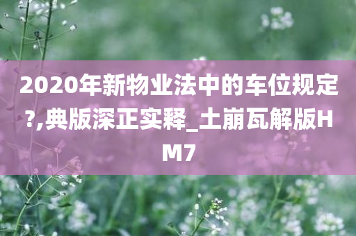 2020年新物业法中的车位规定?,典版深正实释_土崩瓦解版HM7