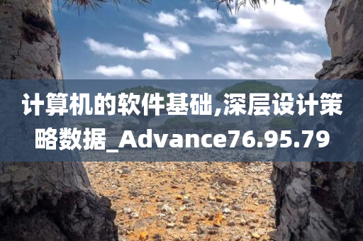 计算机的软件基础,深层设计策略数据_Advance76.95.79