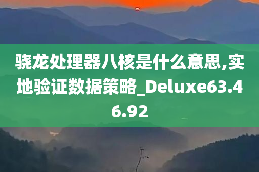 骁龙处理器八核是什么意思,实地验证数据策略_Deluxe63.46.92