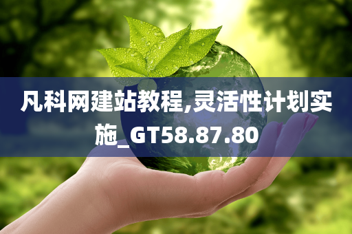 凡科网建站教程,灵活性计划实施_GT58.87.80