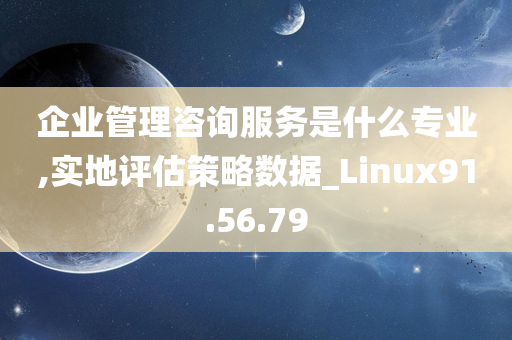 企业管理咨询服务是什么专业,实地评估策略数据_Linux91.56.79