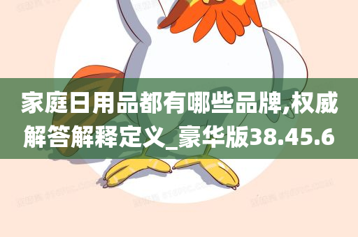 家庭日用品都有哪些品牌,权威解答解释定义_豪华版38.45.60