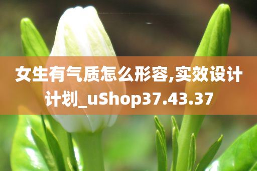 女生有气质怎么形容,实效设计计划_uShop37.43.37