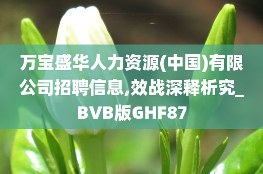 万宝盛华人力资源(中国)有限公司招聘信息,效战深释析究_BVB版GHF87