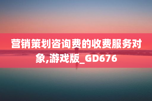 营销策划咨询费的收费服务对象,游戏版_GD676