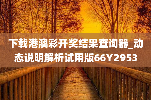 下载港澳彩开奖结果查询器_动态说明解析试用版66Y2953