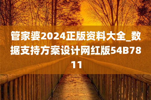 管家婆2024正版资料大全_数据支持方案设计网红版54B7811