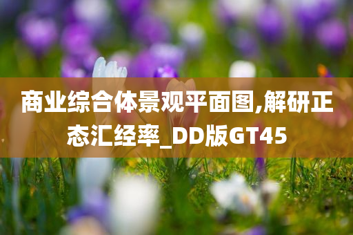 商业综合体景观平面图,解研正态汇经率_DD版GT45