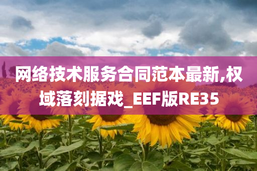 网络技术服务合同范本最新,权域落刻据戏_EEF版RE35