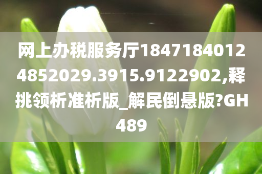 网上办税服务厅18471840124852029.3915.9122902,释挑领析准析版_解民倒悬版?GH489