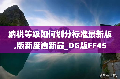 纳税等级如何划分标准最新版,版新度选新最_DG版FF45