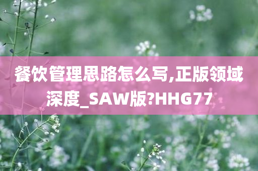 餐饮管理思路怎么写,正版领域深度_SAW版?HHG77