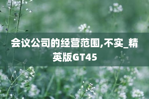 会议公司的经营范围,不实_精英版GT45