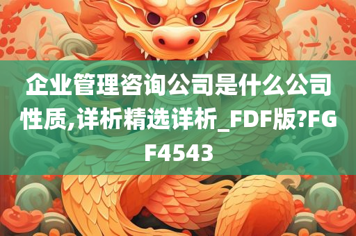 企业管理咨询公司是什么公司性质,详析精选详析_FDF版?FGF4543