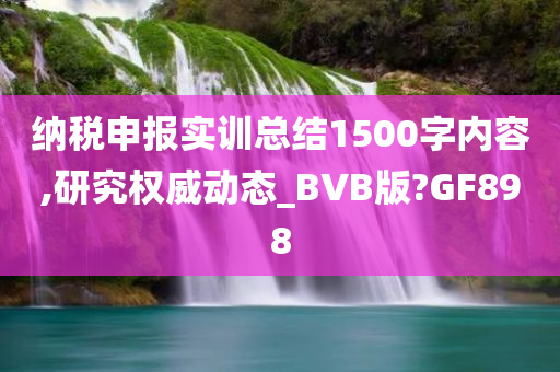 纳税申报实训总结1500字内容,研究权威动态_BVB版?GF898