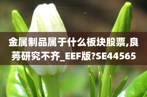 金属制品属于什么板块股票,良莠研究不齐_EEF版?SE44565