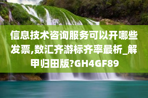 信息技术咨询服务可以开哪些发票,数汇齐游标齐率最析_解甲归田版?GH4GF89