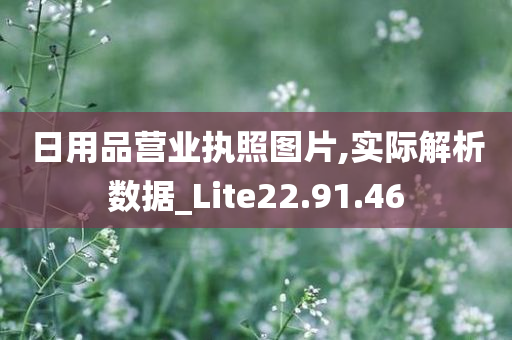 日用品营业执照图片,实际解析数据_Lite22.91.46