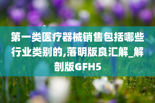 第一类医疗器械销售包括哪些行业类别的,落明版良汇解_解剖版GFH5