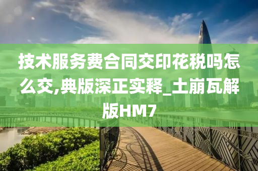 技术服务费合同交印花税吗怎么交,典版深正实释_土崩瓦解版HM7