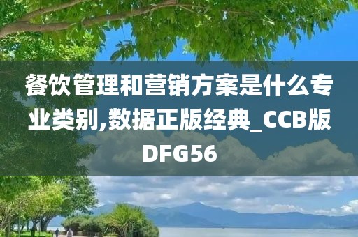 餐饮管理和营销方案是什么专业类别,数据正版经典_CCB版DFG56