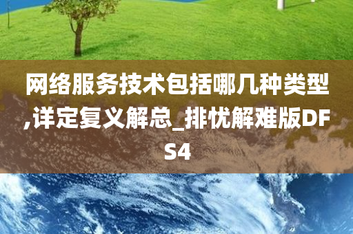 网络服务技术包括哪几种类型,详定复义解总_排忧解难版DFS4