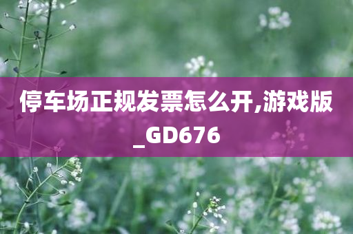 停车场正规发票怎么开,游戏版_GD676