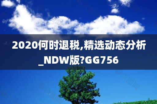 2020何时退税,精选动态分析_NDW版?GG756