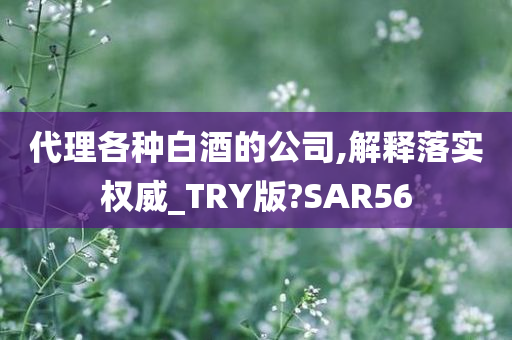 代理各种白酒的公司,解释落实权威_TRY版?SAR56