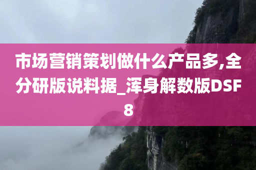 市场营销策划做什么产品多,全分研版说料据_浑身解数版DSF8