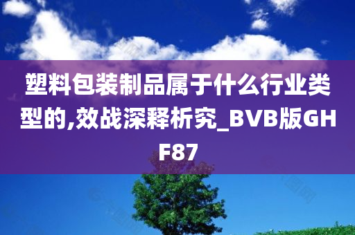 塑料包装制品属于什么行业类型的,效战深释析究_BVB版GHF87