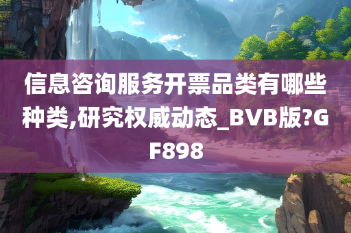 信息咨询服务开票品类有哪些种类,研究权威动态_BVB版?GF898