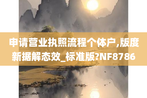 申请营业执照流程个体户,版度新据解态效_标准版?NF8786