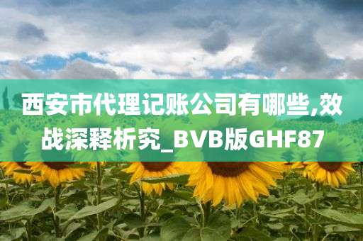 西安市代理记账公司有哪些,效战深释析究_BVB版GHF87