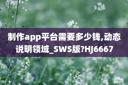 制作app平台需要多少钱,动态说明领域_SWS版?HJ6667