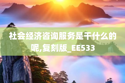 社会经济咨询服务是干什么的呢,复刻版_EE533