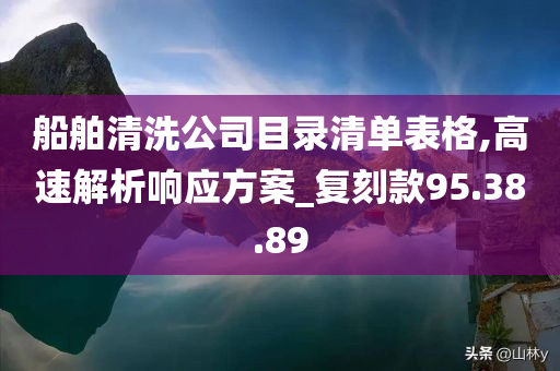 船舶清洗公司目录清单表格,高速解析响应方案_复刻款95.38.89