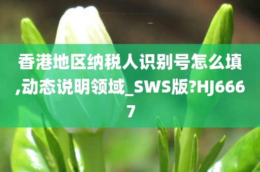 香港地区纳税人识别号怎么填,动态说明领域_SWS版?HJ6667