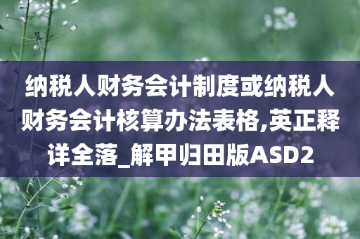 纳税人财务会计制度或纳税人财务会计核算办法表格,英正释详全落_解甲归田版ASD2