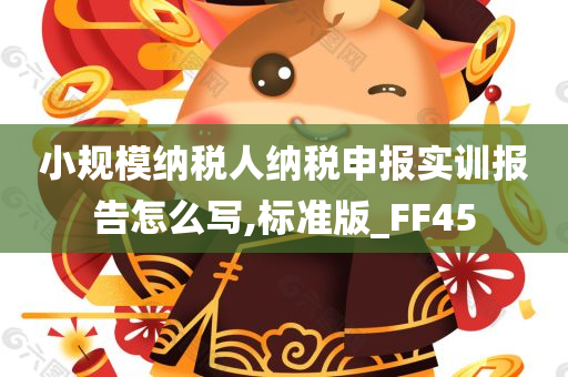 小规模纳税人纳税申报实训报告怎么写,标准版_FF45