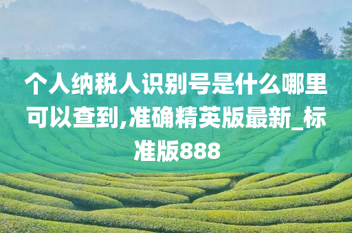 个人纳税人识别号是什么哪里可以查到,准确精英版最新_标准版888