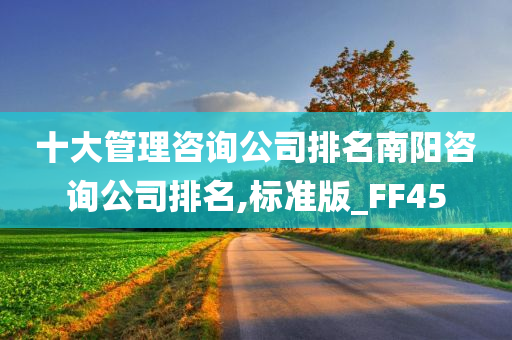 十大管理咨询公司排名南阳咨询公司排名,标准版_FF45