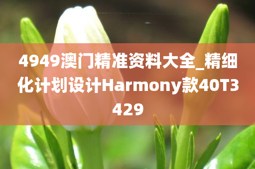 4949澳门精准资料大全_精细化计划设计Harmony款40T3429