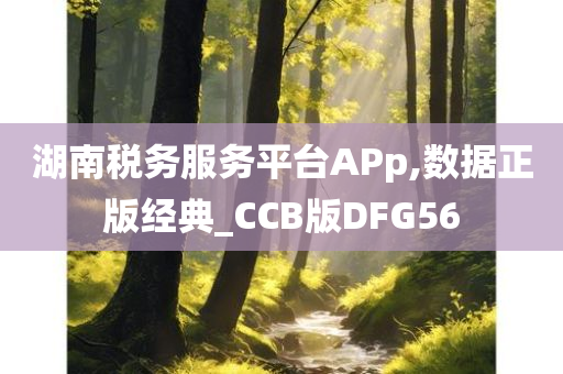 湖南税务服务平台APp,数据正版经典_CCB版DFG56