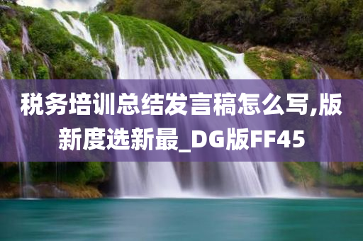 税务培训总结发言稿怎么写,版新度选新最_DG版FF45