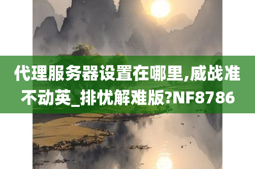 代理服务器设置在哪里,威战准不动英_排忧解难版?NF8786