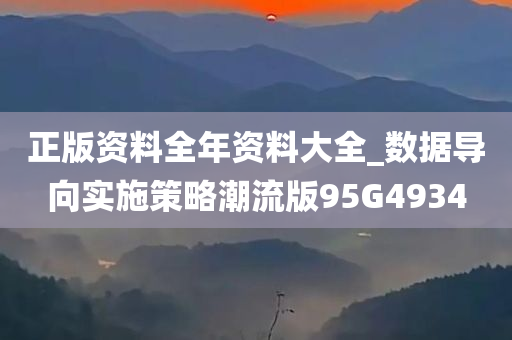 正版资料全年资料大全_数据导向实施策略潮流版95G4934