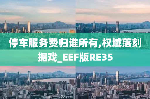 停车服务费归谁所有,权域落刻据戏_EEF版RE35