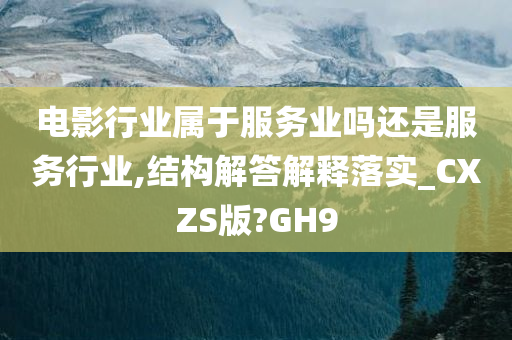 电影行业属于服务业吗还是服务行业,结构解答解释落实_CXZS版?GH9